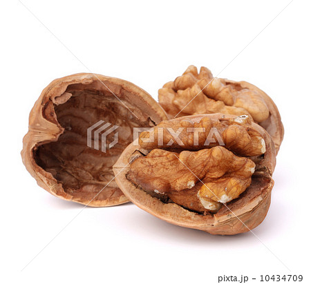 walnut walnut 10434709