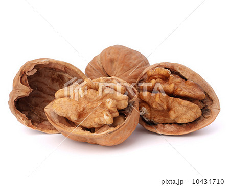 walnut 10434710