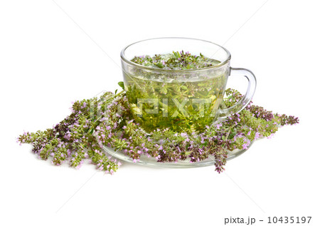 Green thyme tea Green thyme tea 10435197