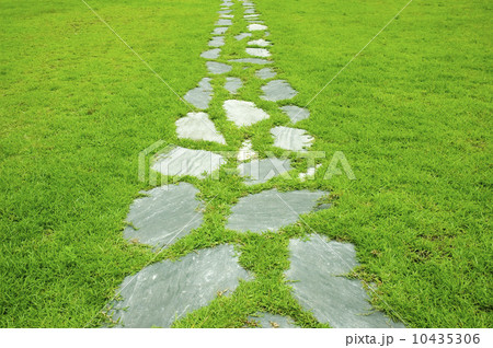 stone path 10435306