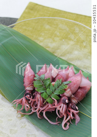 ホタルイカ ホタルイカ 10435531