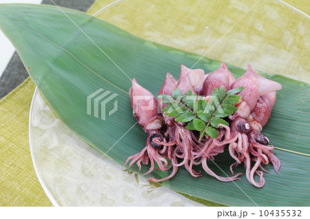 ホタルイカ ホタルイカ 10435532