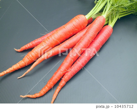 金時人参 金時人参 10435712