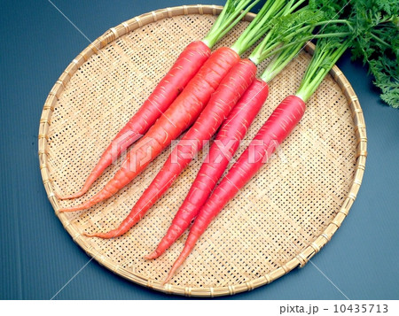 金時人参 10435713