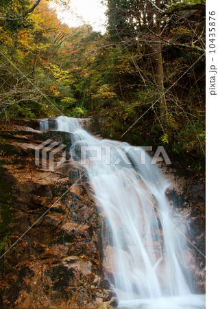 男滝　長野県南木曽　The Odaki Waterfall in Nagano Prf. 10435876
