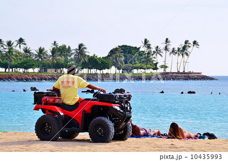 ハワイの休日 10435993