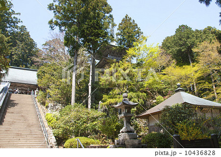 四国巡礼１８番札所恩山寺 10436828