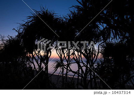 沖縄の夕景 沖縄の夕景 10437314