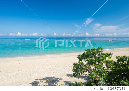 沖縄の海 10437351