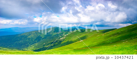 Panoramic view of Carpathian mountains 10437421