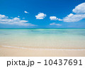 沖縄のビーチ 10437691