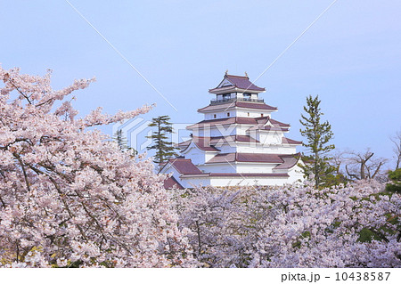 桜咲く鶴ヶ城 10438587