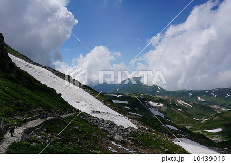 立山 8月 立山 8月 10439046