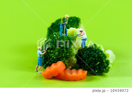 Figurine farmers harvesting broccoli 10439072