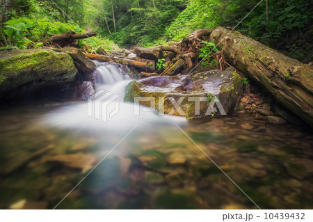 Mountain water stream Mountain water stream 10439432