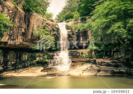 Jungle Waterfall Jungle Waterfall 10439632