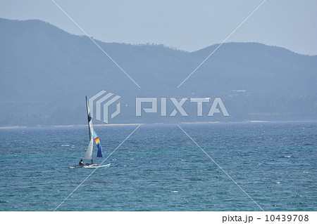 漂流ヨット 漂流ヨット 10439708