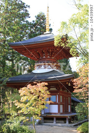 円成寺 円成寺 10439997