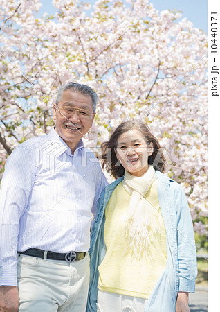 桜の前に立つシニア夫婦 10440371
