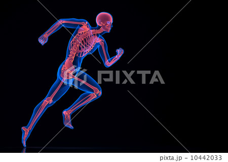 Running 3d skeleton. Contains clipping path 10442033
