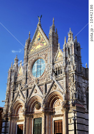 The Duomo (cathedral) of Siena. Tuscany, Italy. The Duomo (cathedral) of Siena. Tuscany, Italy. 10442186