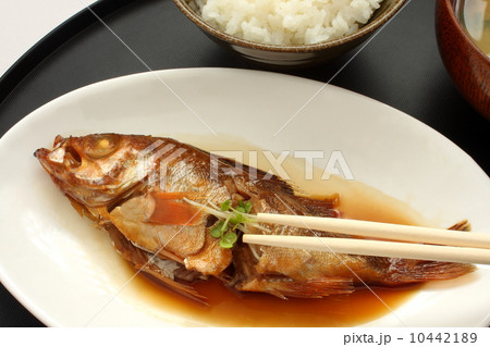 めばるの煮付け　和食　定食　白背景 10442189