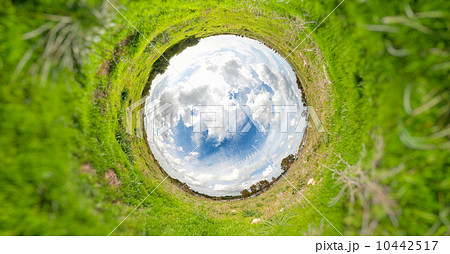 Grassy landscape Grassy landscape 10442517