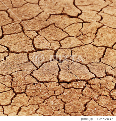 Dry cracked earth as background 10442837