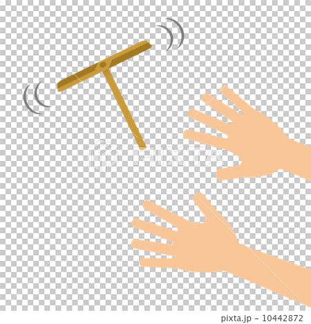 Take dragonfly 10442872