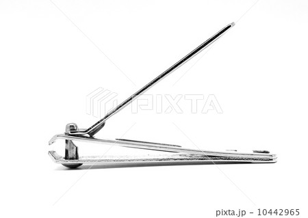 nail clipper isolated 10442965