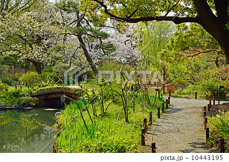 向島百花園 向島百花園 10443195