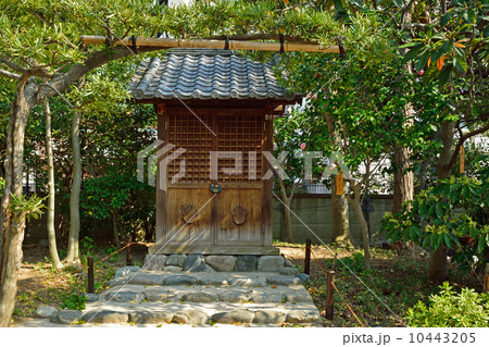 向島百花園・福禄寿尊堂 向島百花園・福禄寿尊堂 10443205