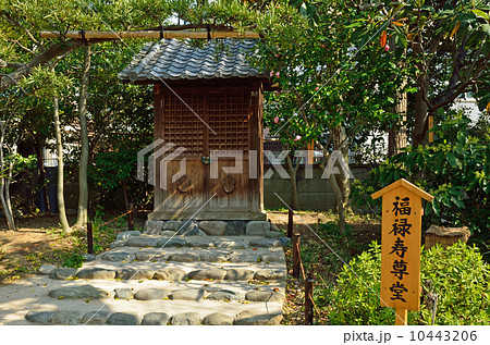 向島百花園・福禄寿尊堂 向島百花園・福禄寿尊堂 10443206
