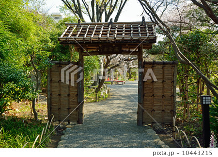 向島百花園・庭門 10443215