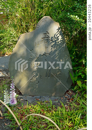 向島百花園・芭蕉句碑 向島百花園・芭蕉句碑 10443216