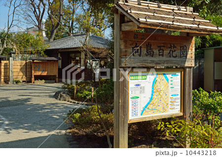 向島百花園 向島百花園 10443218