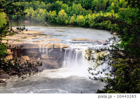 Cumberland falls Cumberland falls 10443265