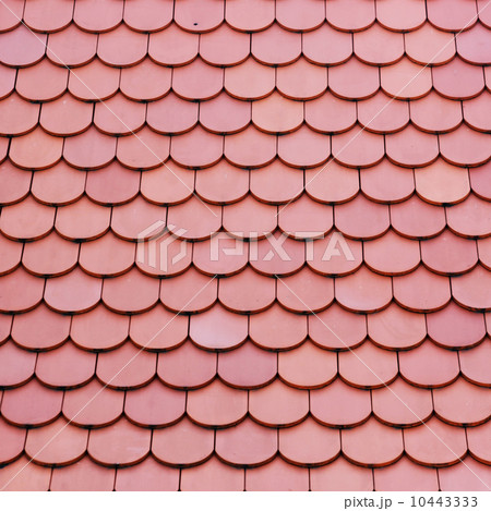 roof tile roof tile 10443333