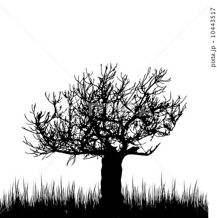 Tree And Grass In Silhouette Are Isolated On のイラスト素材