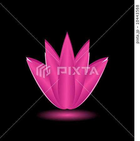 Lotus flower isolated on black background 10443568