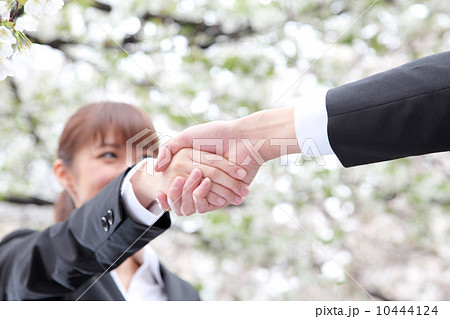 握手をする女性 握手をする女性 10444124