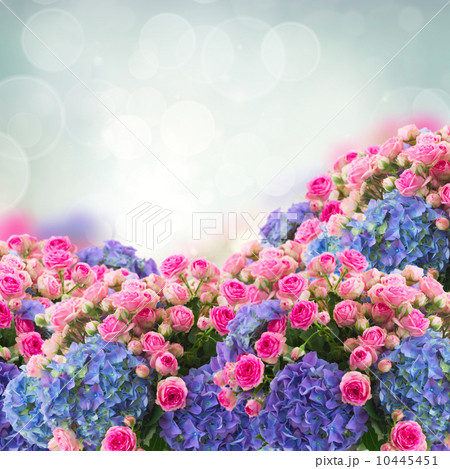 bunch of roses and  hortensia flowers 10445451