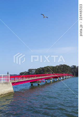 松島 福浦橋 松島 福浦橋 10446503