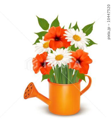 Summer flowers in a watering can. Vector. Summer flowers in a watering can. Vector. 10447520