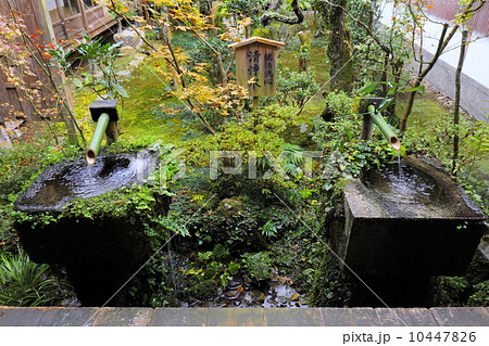 大原三千院 清浄水 大原三千院 清浄水 10447826