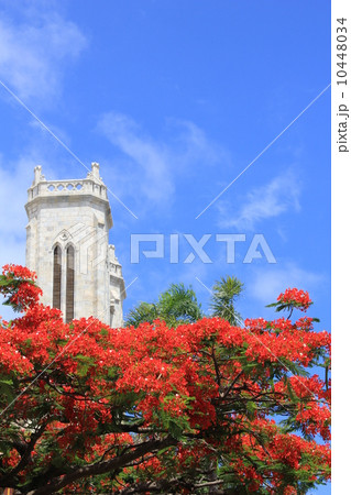 セント・ジョセフ大聖堂 ニューカレドニア セント・ジョセフ大聖堂 ニューカレドニア 10448034