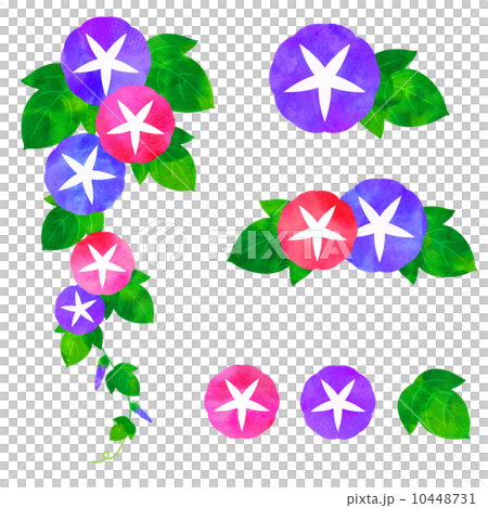 Morning glory material set 10448731