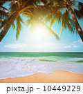 Perfect tropical beach scene 10449229