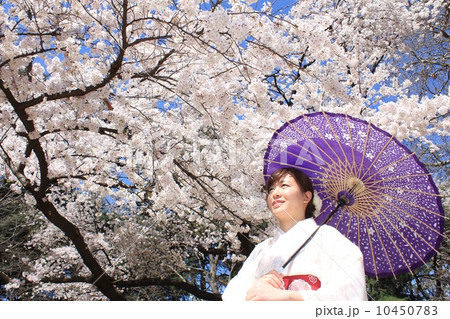 和服美人の花見 和服美人の花見 10450783