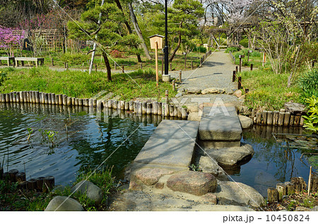 向島百花園・水辺の石橋 向島百花園・水辺の石橋 10450824